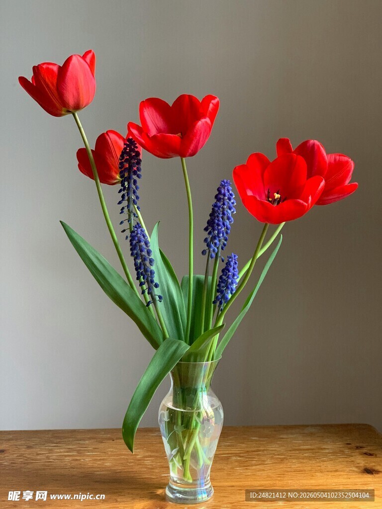 花瓶中的红郁金香与蓝花