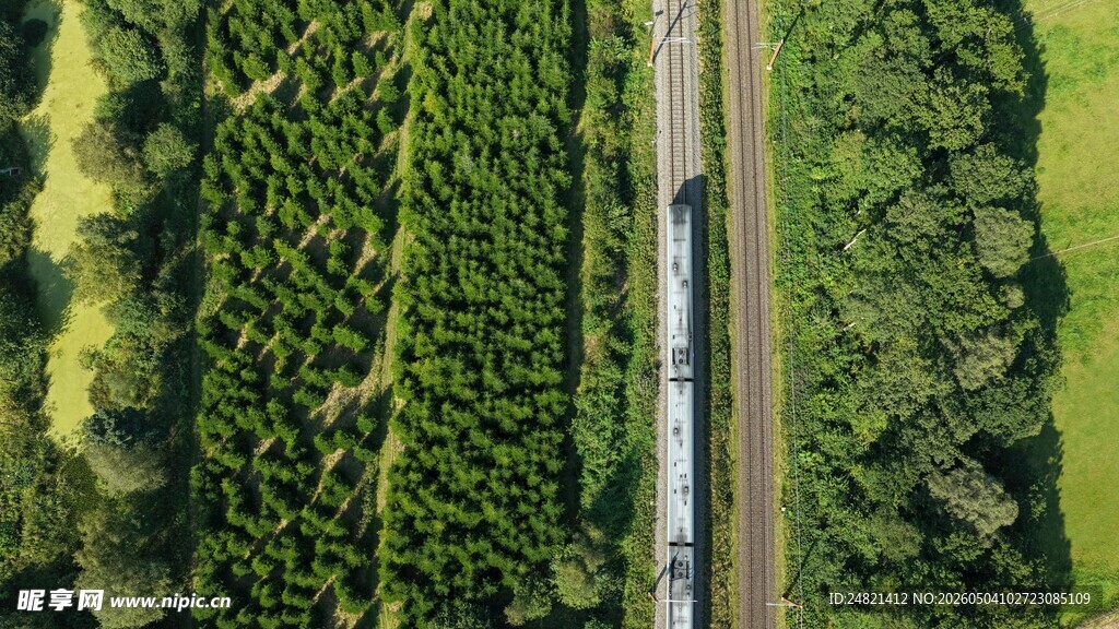 空中俯瞰林间小路