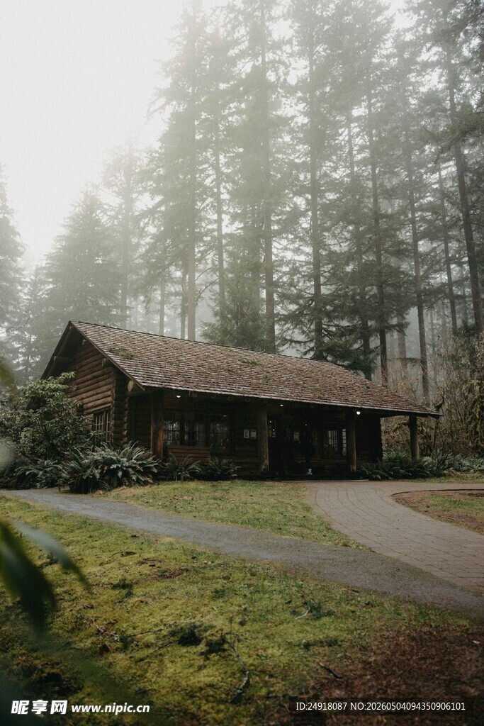 雾中静谧林间小屋