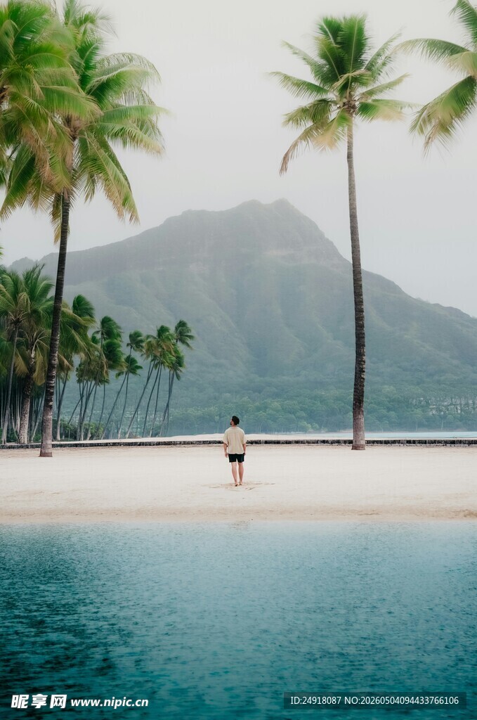 热带泳池边的惬意景致
