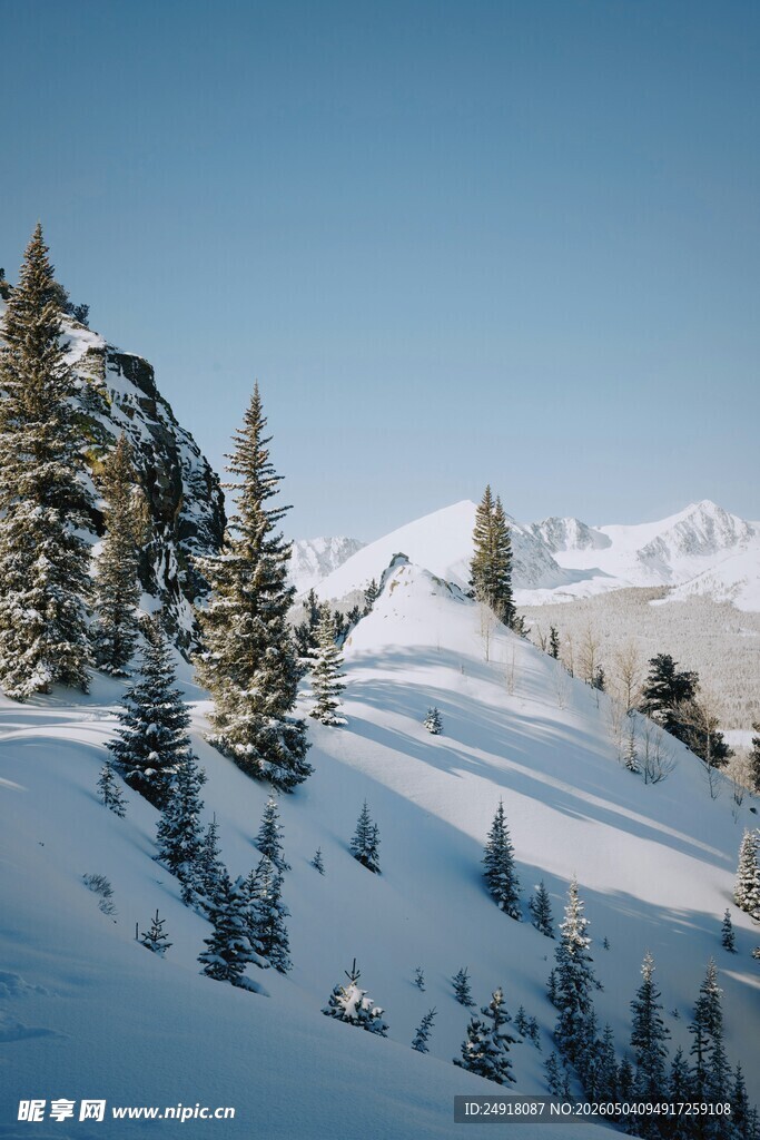 冬日雪景中的山林风光
