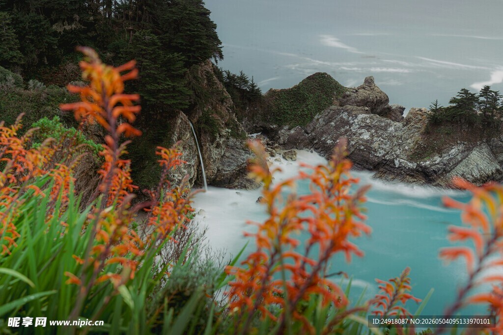 海边艳丽花卉与碧蓝海水