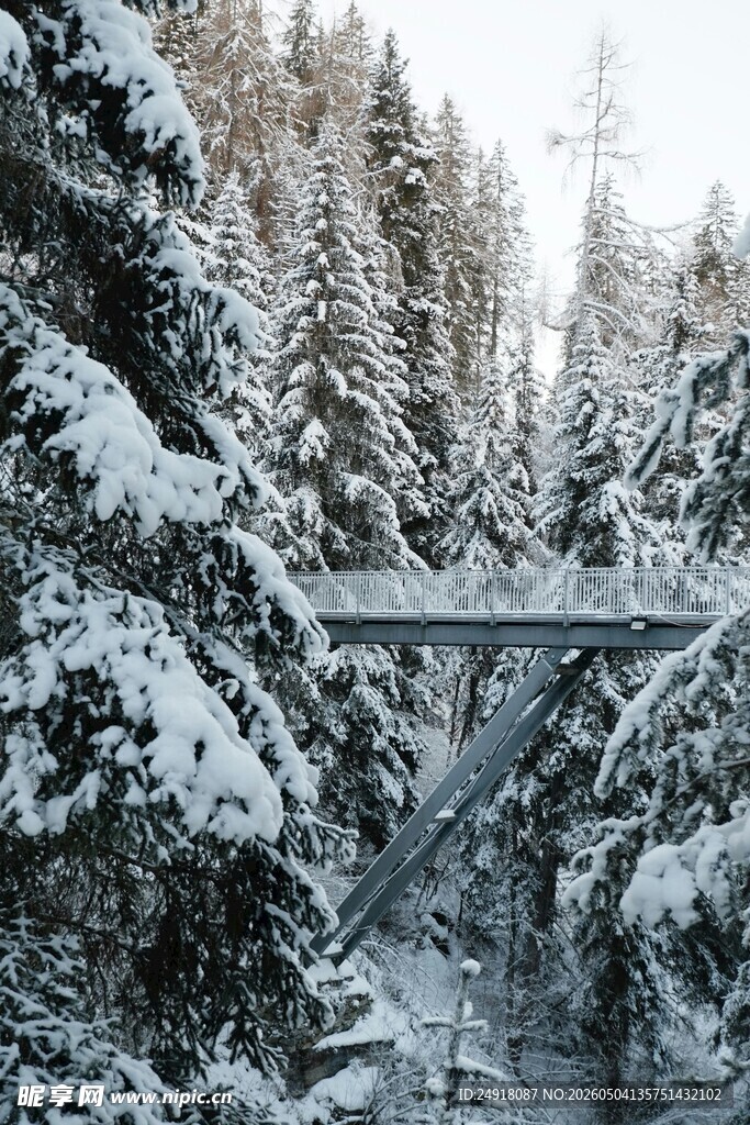 雪覆森林中的桥梁美景