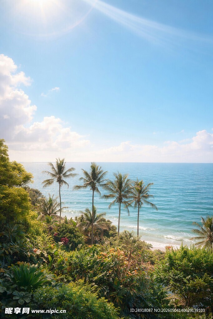 海边椰林美景