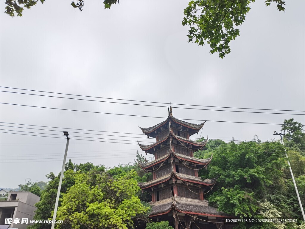 古雅塔楼隐于葱郁绿树间