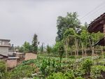 乡村田园景象