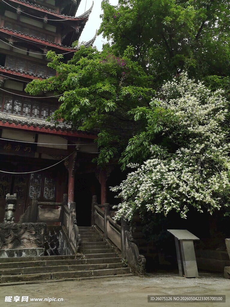 古建旁繁花盛开的景致