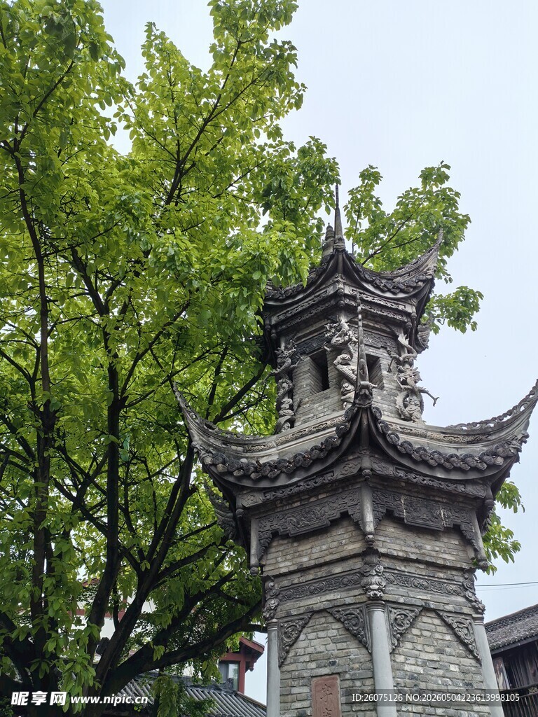 古式塔楼旁的葱郁绿树