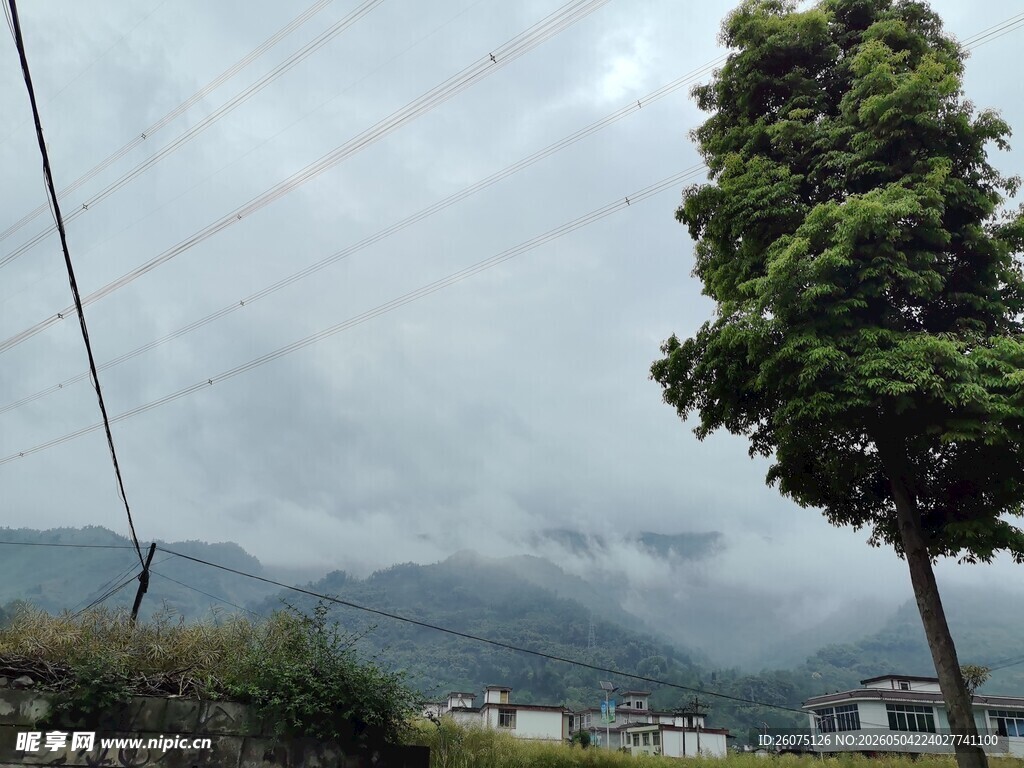 山间云雾缭绕的绿树风景
