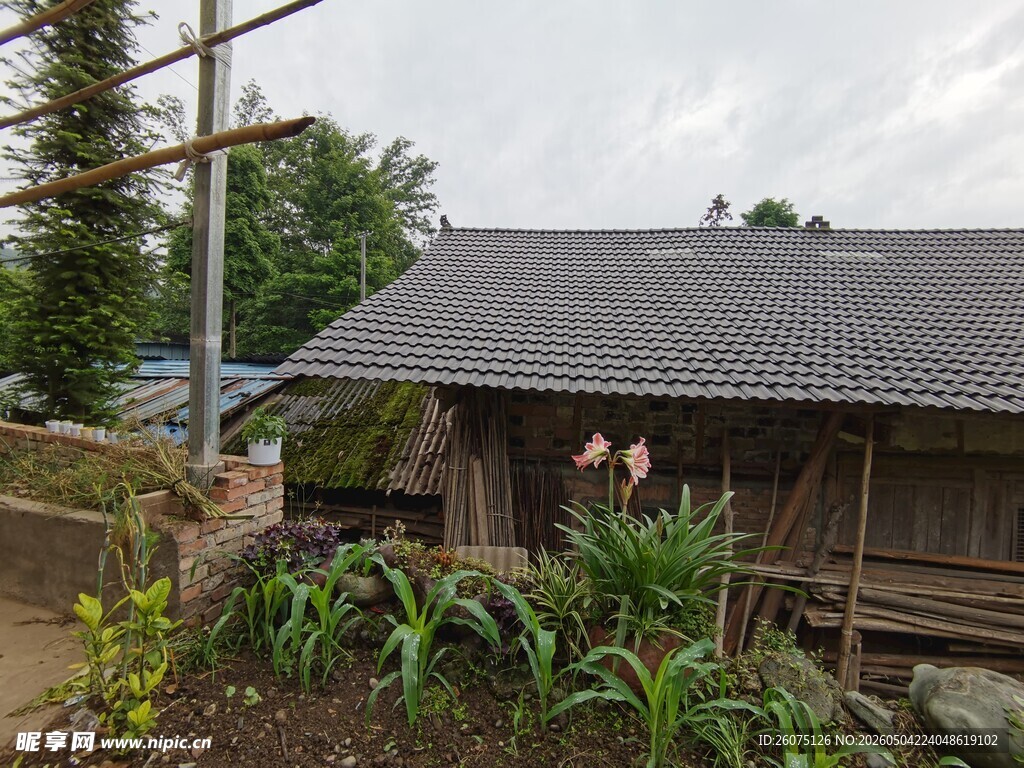 乡村古朴小屋绿植环绕