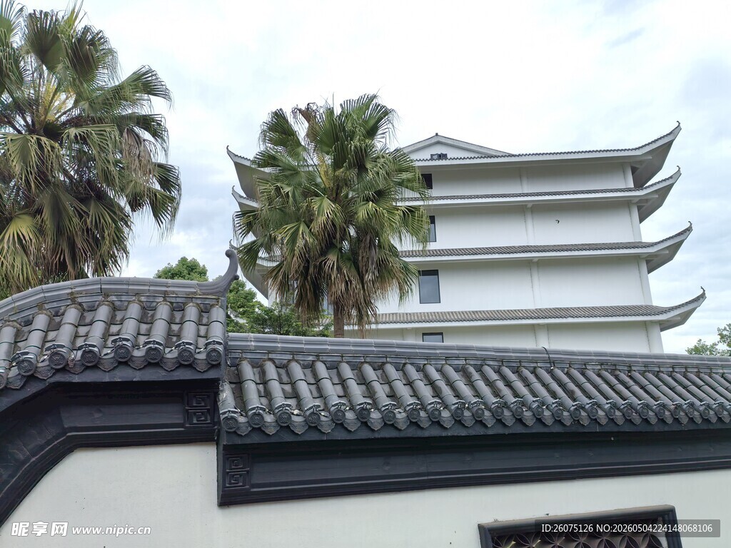 中式建筑与棕榈树景观