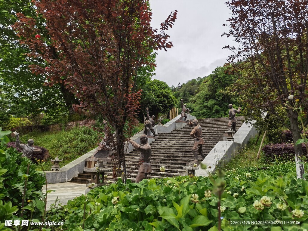 山间绿植环绕的石阶小径
