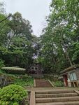 山林间的静谧古朴建筑