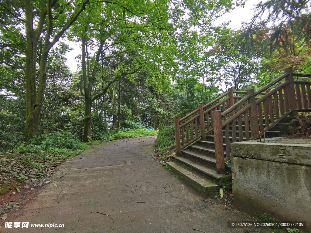 林间小径与木质台阶景观