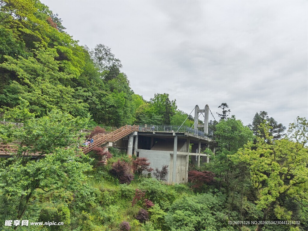 蒙顶山山林中的别致建筑