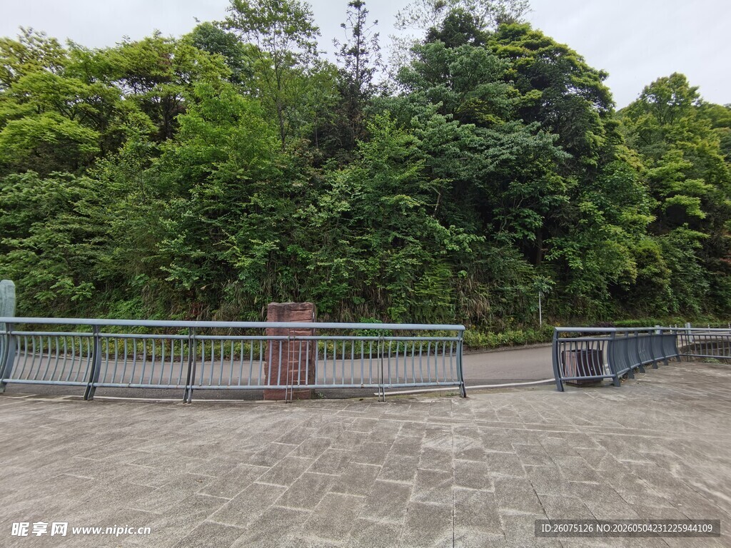 户外绿植环绕的开阔场地