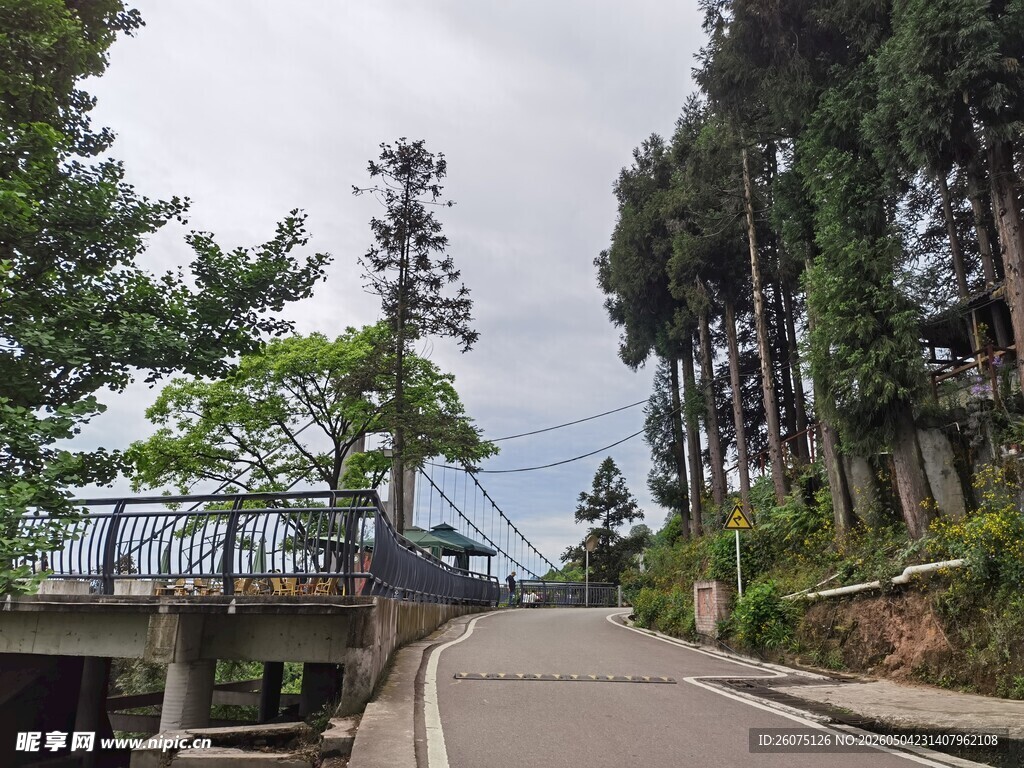 山间蜿蜒公路绿树相伴