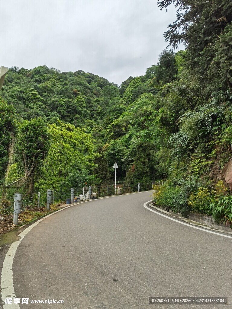 蜿蜒山间公路绿意盎然