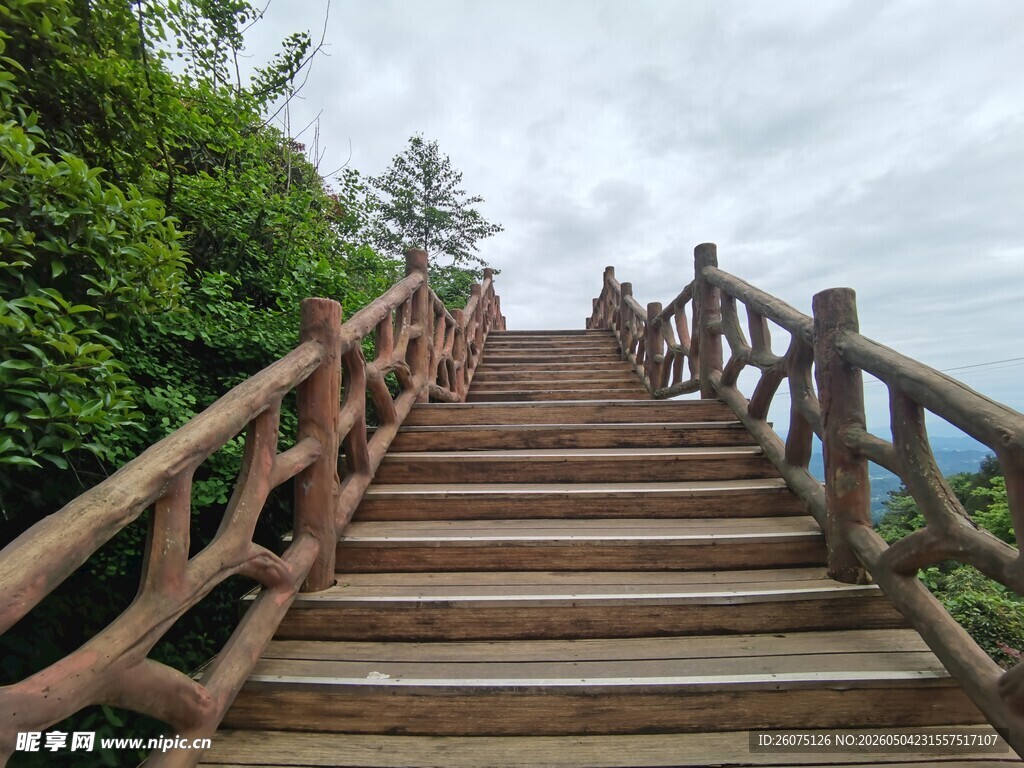 山间木梯漫步自然之径