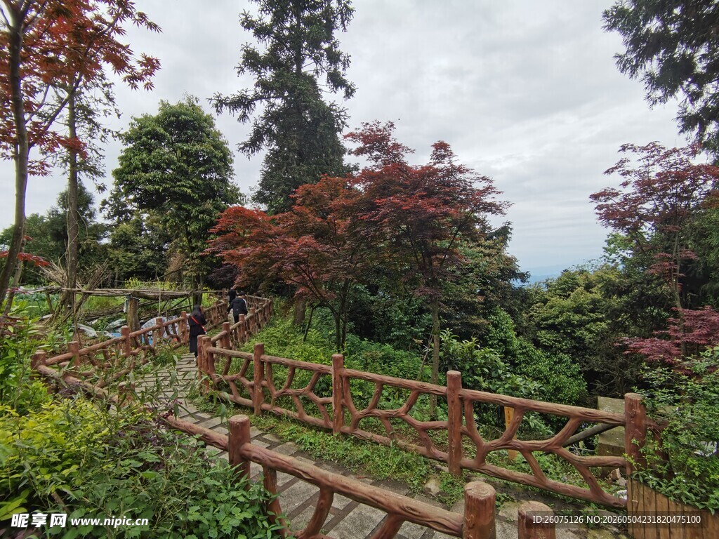 山林间的木质观景步道
