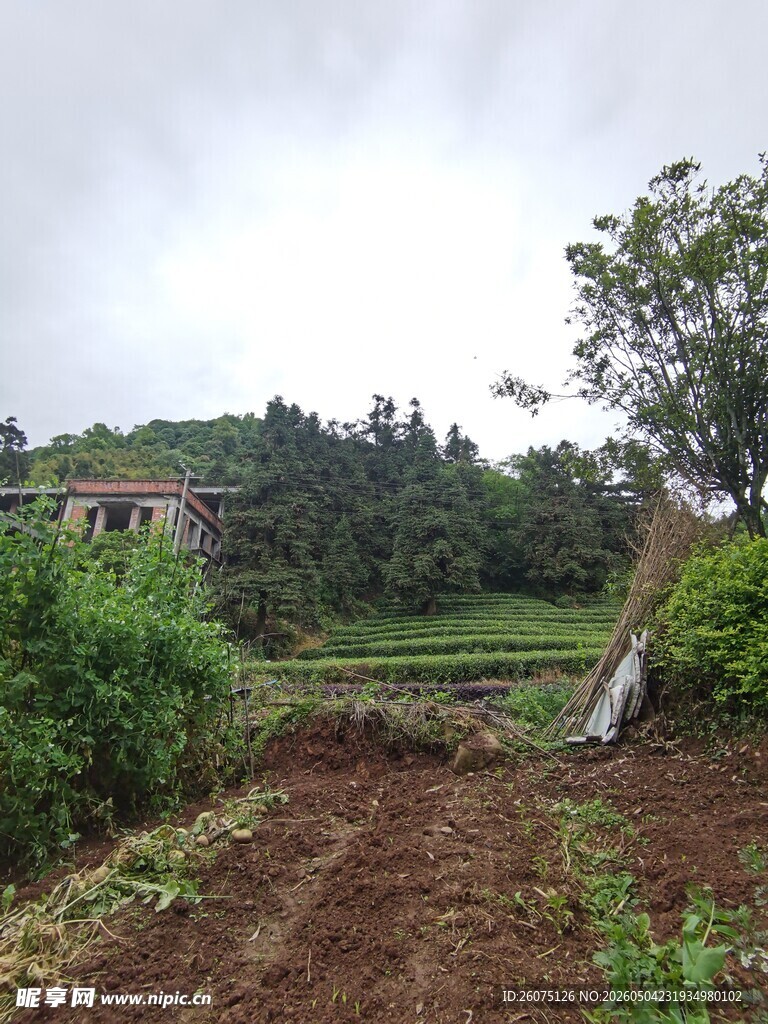 乡村田园风光宁静之景