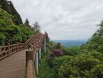 蒙顶山山间木栈道赏绿意与远景