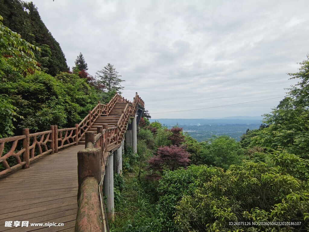 蒙顶山山间木栈道赏绿意与远景