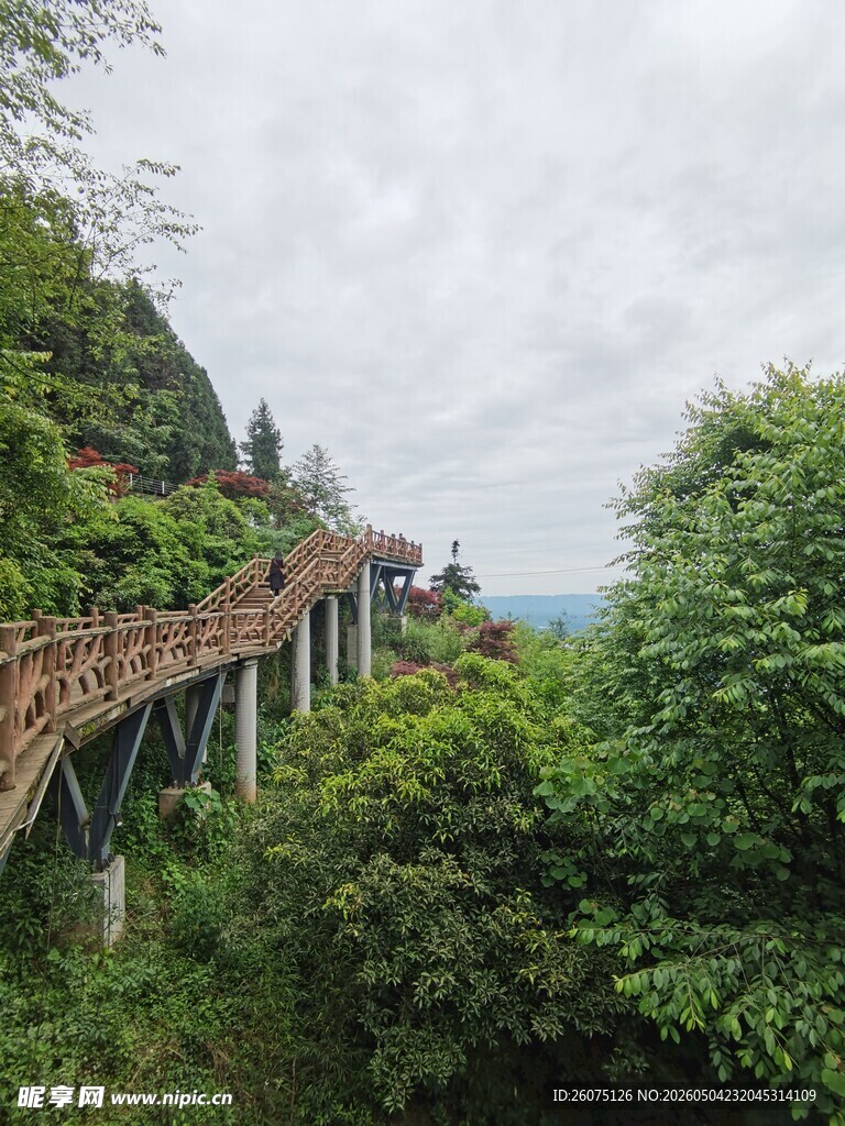 蒙顶山山间木质栈道蜿蜒于绿树间
