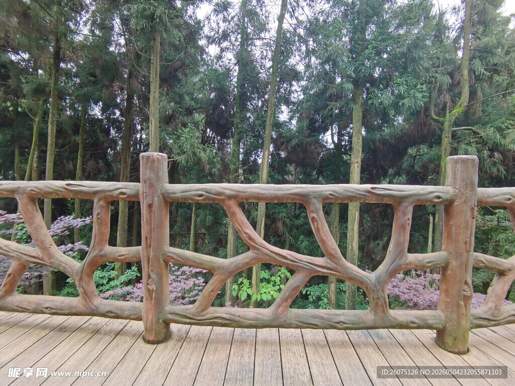 木质围栏旁的林间木栈道