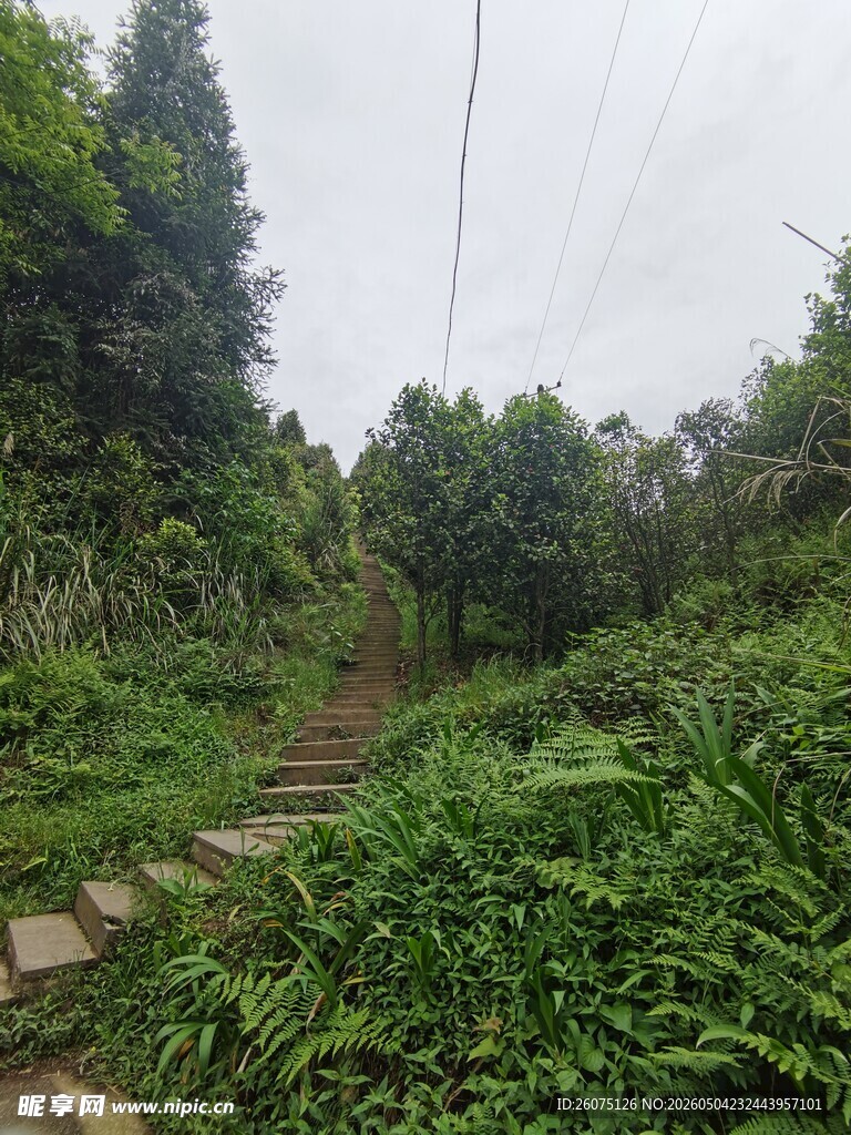 山间小径绿意盎然的自然景