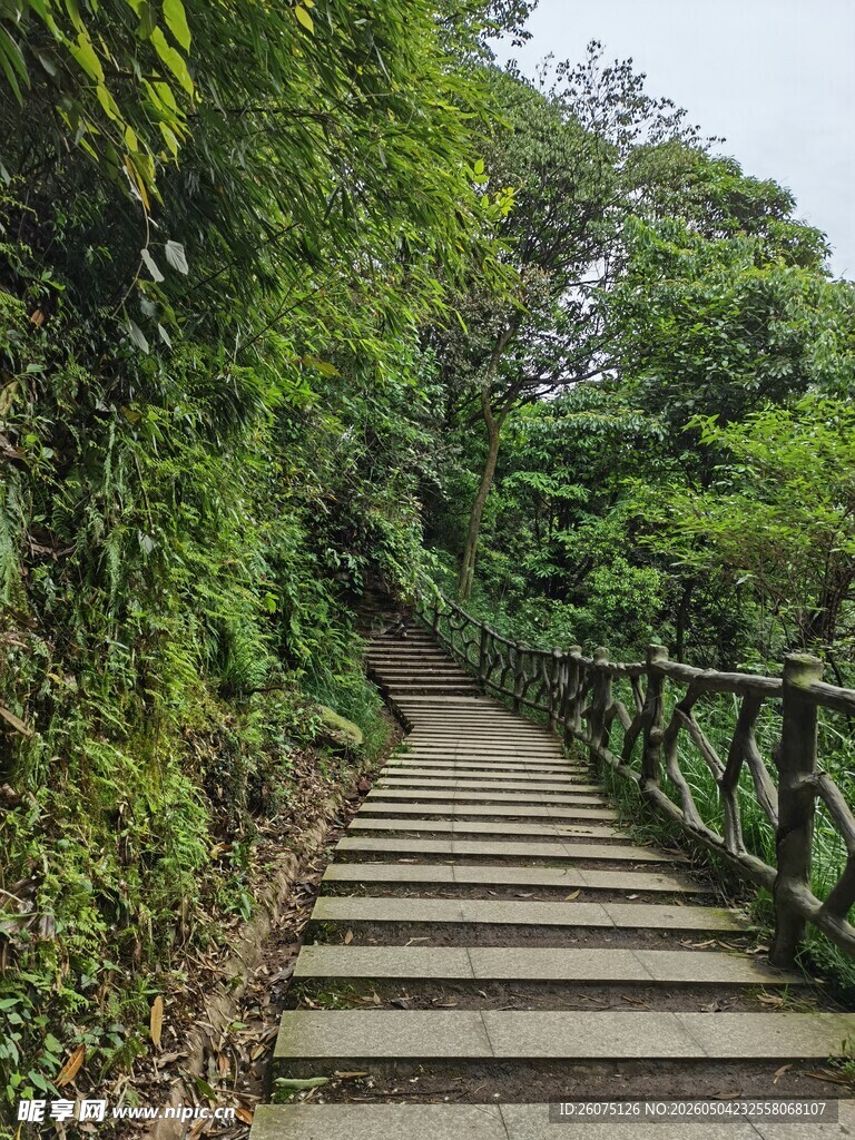 山林间的木质阶梯小径