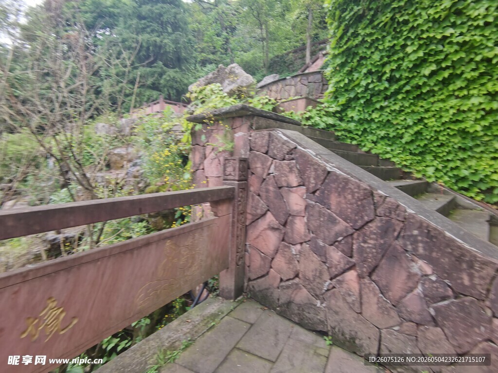 石砌围墙旁的绿植景观