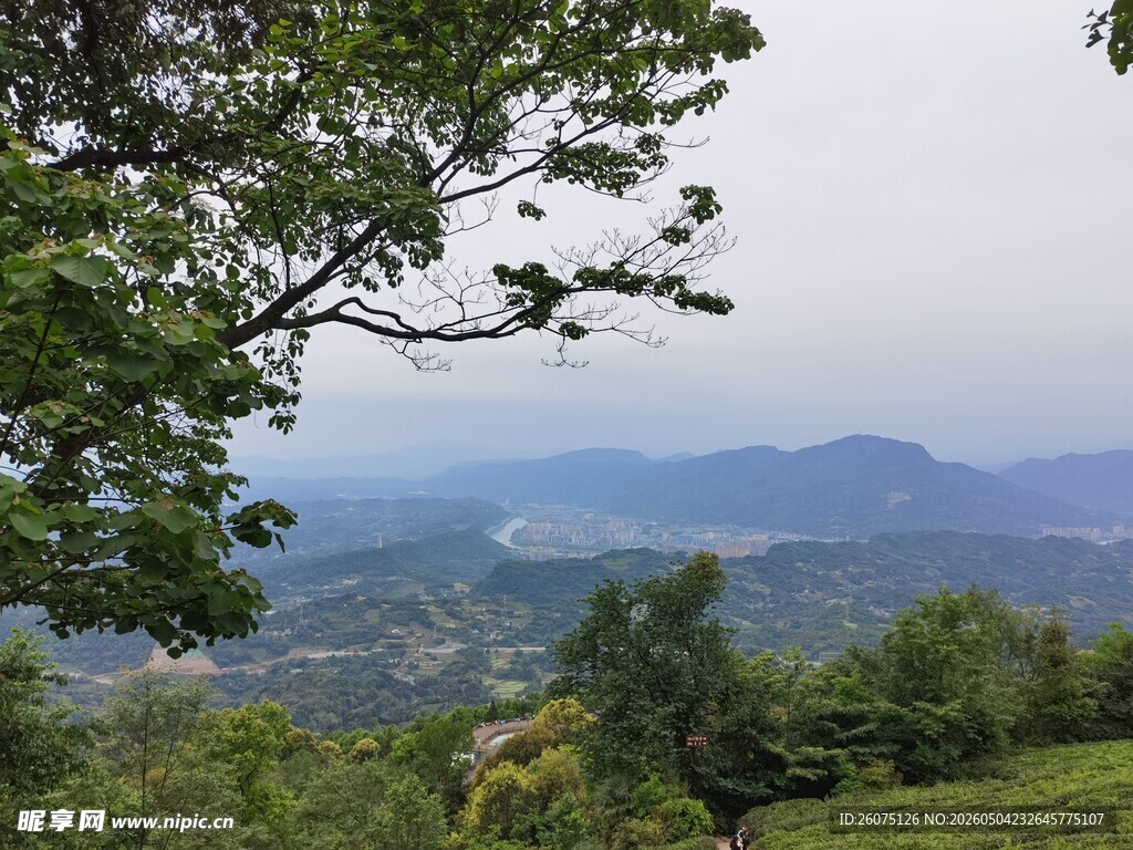 山间绿野景观