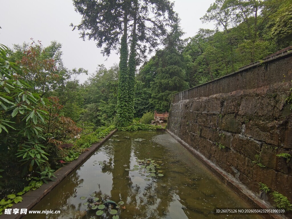 山间清幽水渠景观