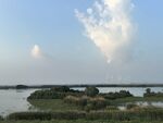 湖畔湿地风光