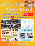 爱宠洁牙活动日优惠海报