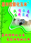 绿色背景