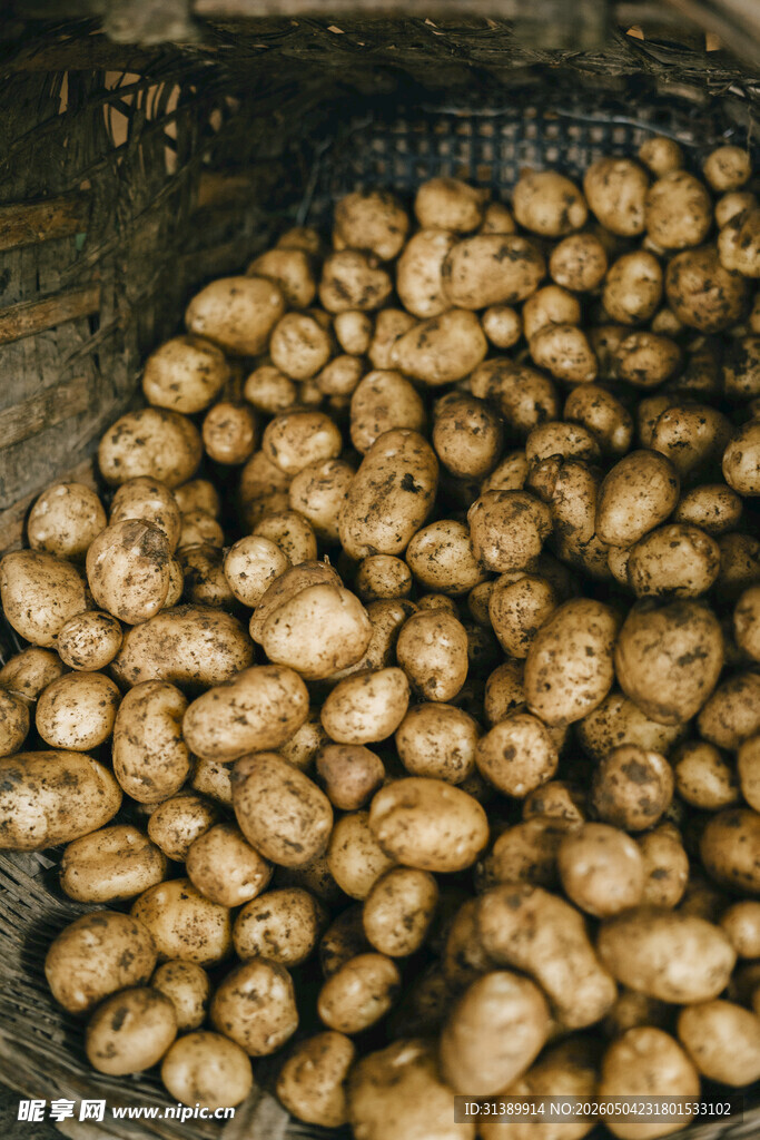 一堆新鲜的土豆