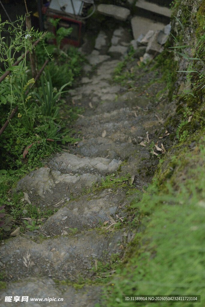 山间石阶