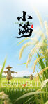 小满