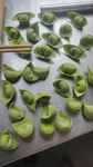 绿色手包饺子