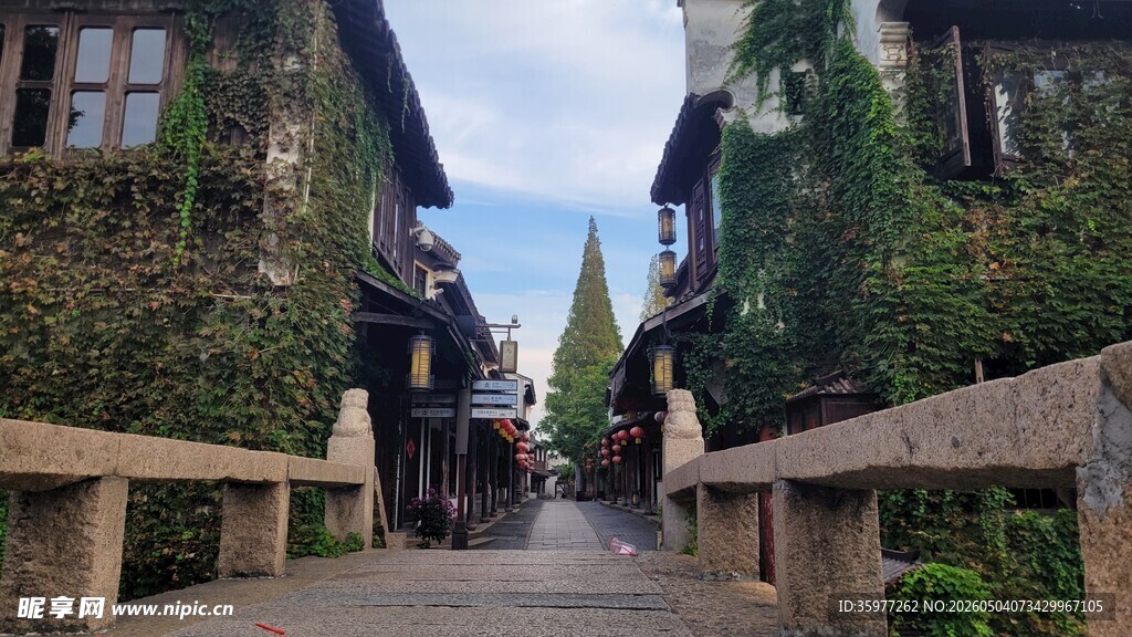 古巷石桥绿植环绕的景致