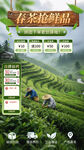 春茶节春季茶叶电商直播间背景