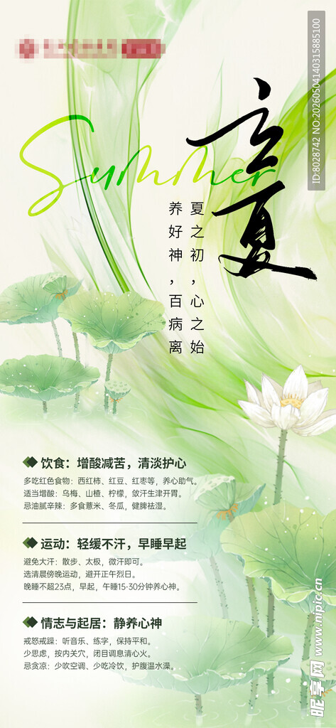 夏日荷塘诗意插画