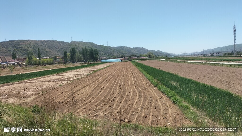 田园风光农田美景