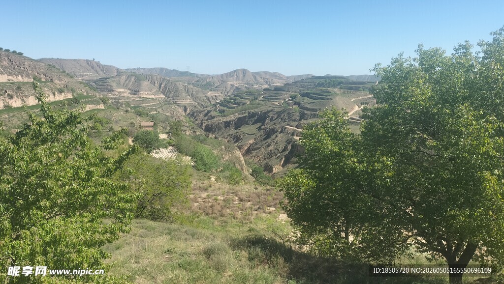 山间绿意盎然的自然景致