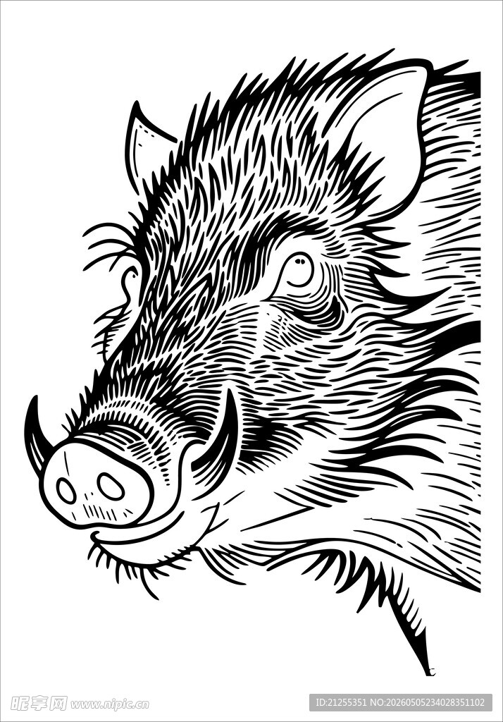 野猪肖像黑白插画
