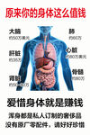原来你的身体这么值钱