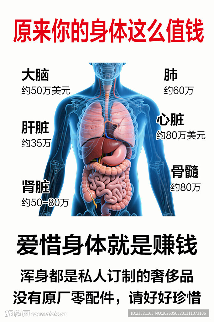 原来你的身体这么值钱