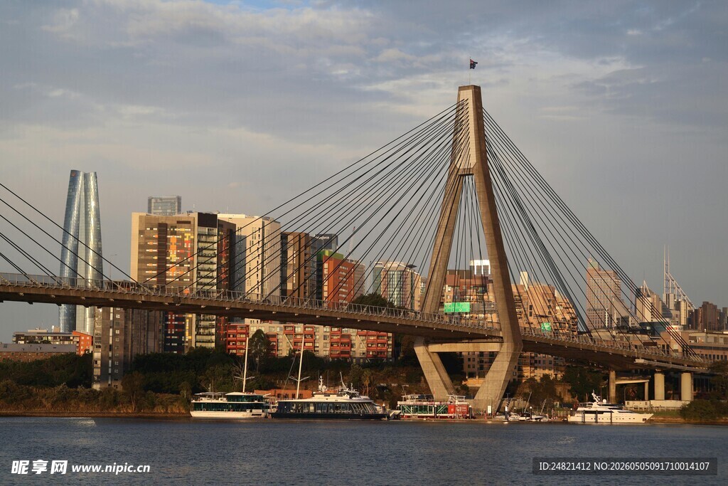 城市跨江斜拉桥壮丽景观